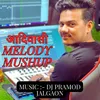 About Adivasi Melody Mushup Song